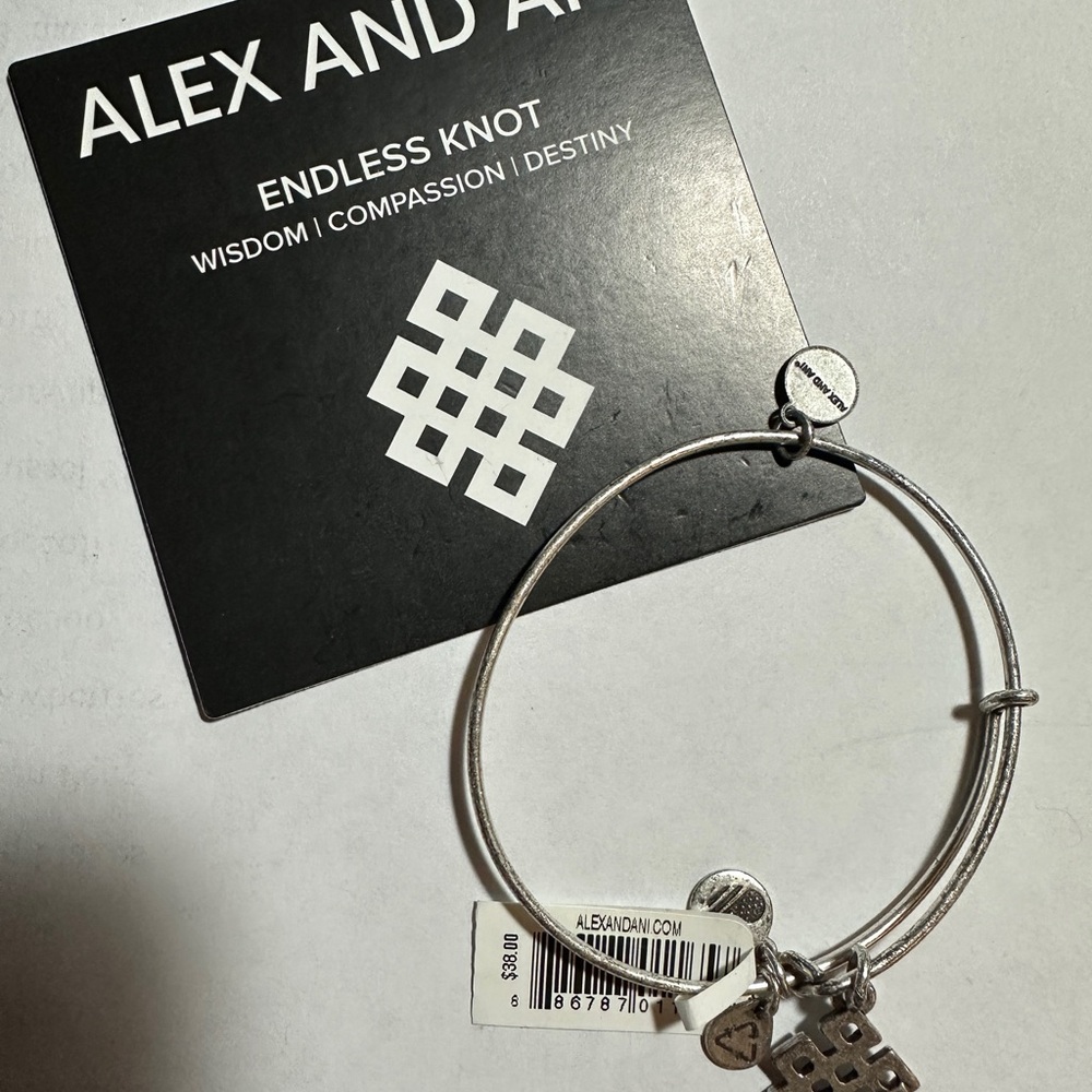 Alex and Ani Silver Endless Knot Bracelet